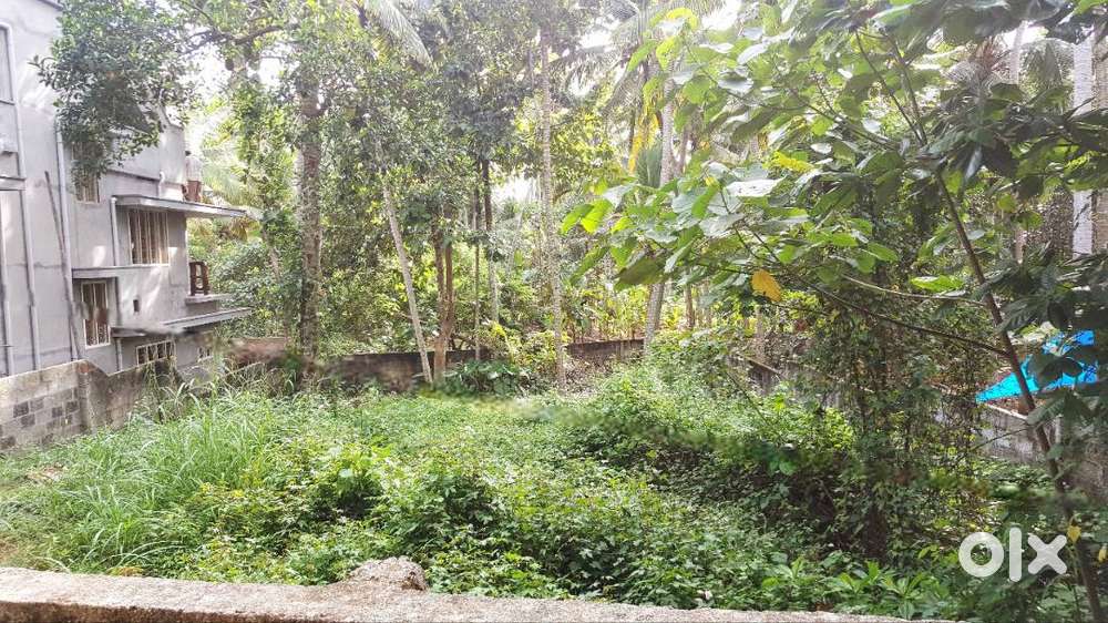 10 Cent land for sale at Keraladityapuram