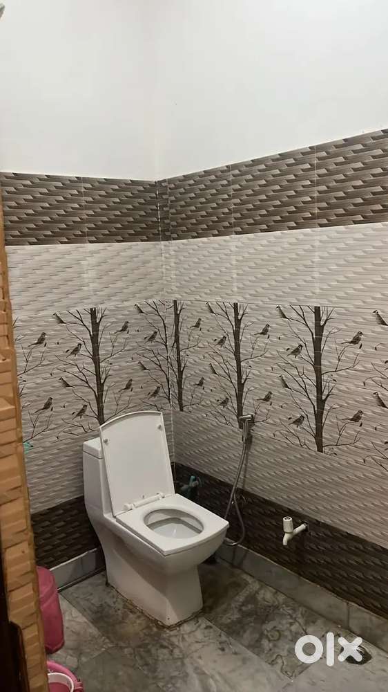 Total area 1580 Sq/FT front 36 length 43.5