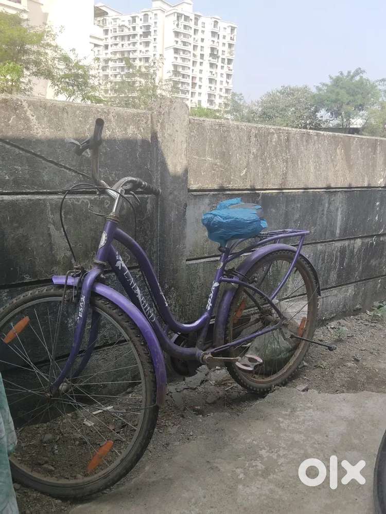 Old ledies saical