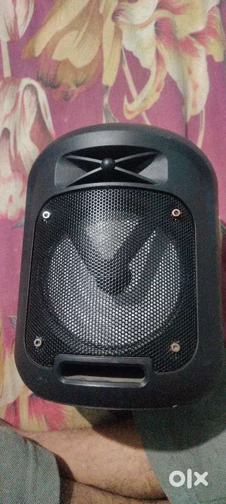 Speaker Audio