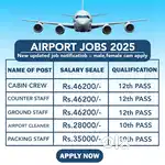 Hiring for ao and cs ground staff in Hyderabad airport