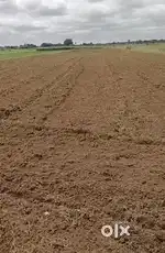 Open Plot 3.44cents at K.V.Central School, SKU road, Anantapur