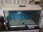 Aquarium for sale.