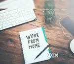 Work from home (free joining)