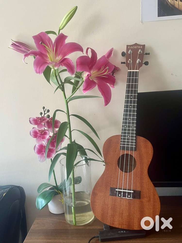 Brand new Ukulele for sale !