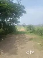 Omr property