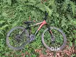 cardiac cycle 21 speed