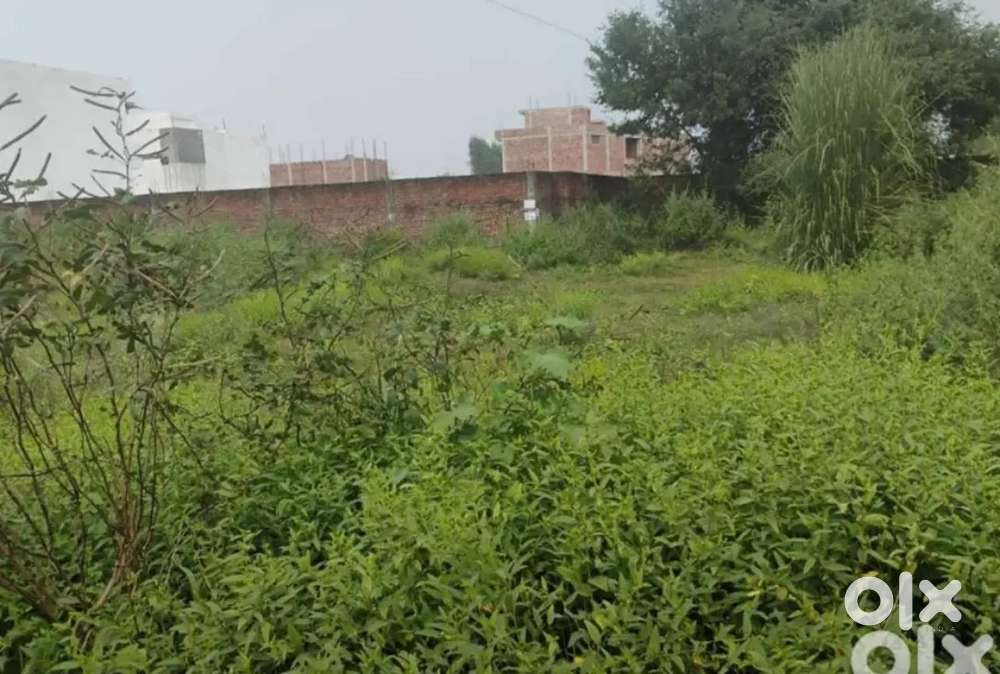 Aregent sell 230 gaz plot for sell 7500 rupee gaz