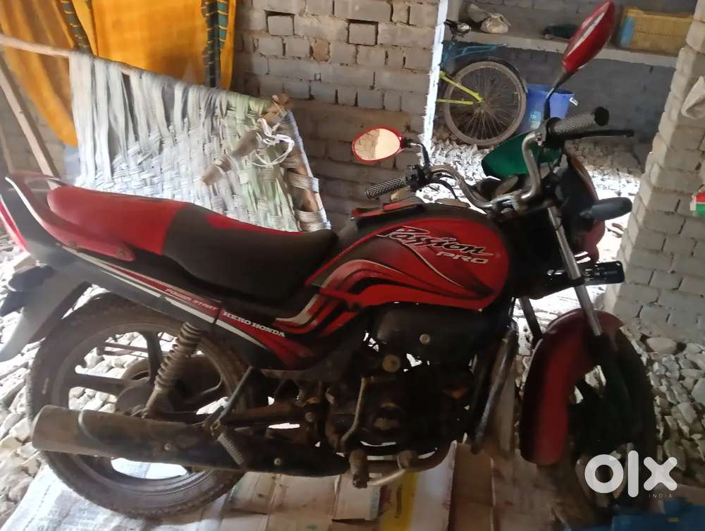 Passion pro 2009