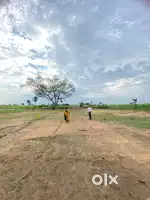 residential plots