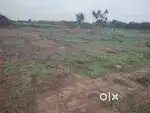 Tamaraipakkam Land Sale