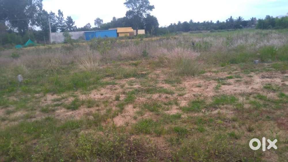 Plot Near TVS company Hosur, kothagondapalli
