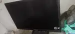 MONITOR zebester