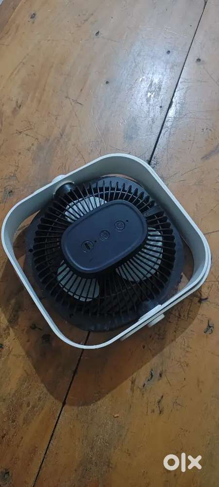 Mini fan Piguon