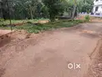 10 cent plot for sale. പയ്യമ്പള്ളി  മെയിൻ റോഡിനു സമീപം,