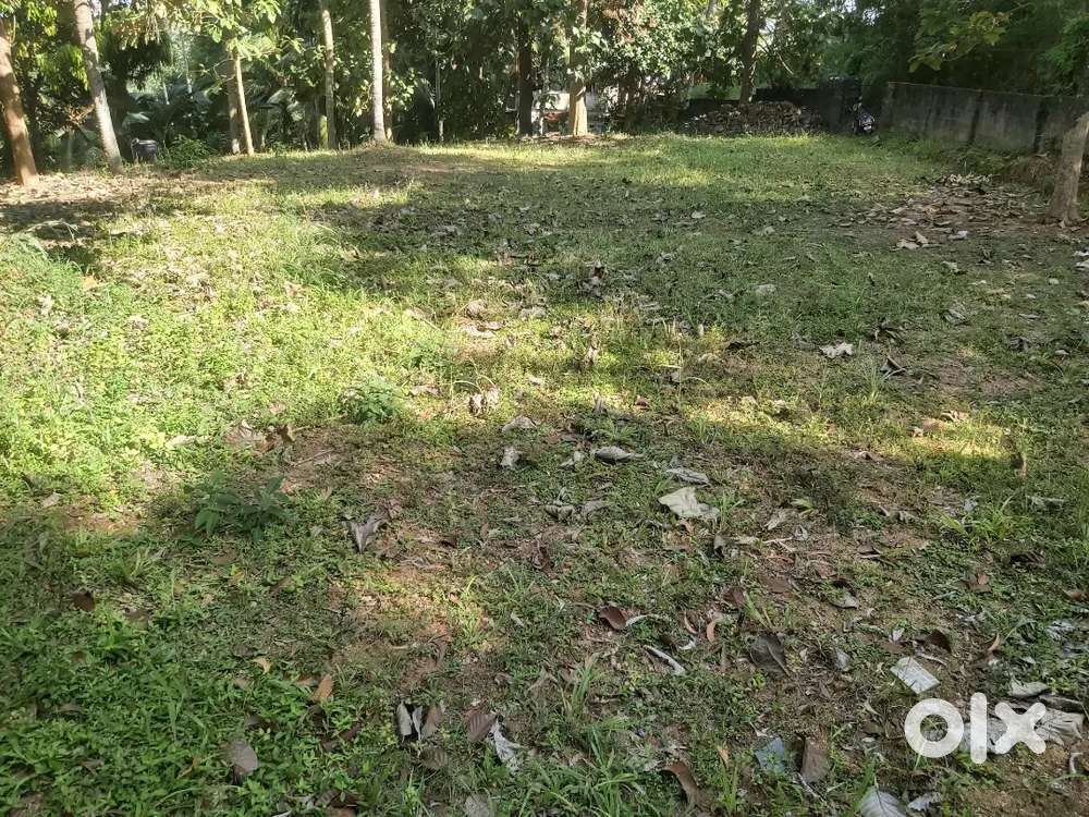 8 cents land for sale