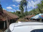 Poultry Farms for rent