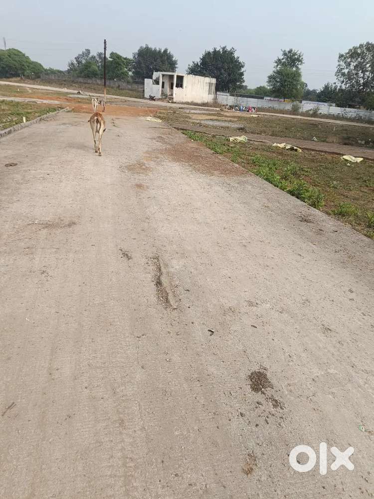 TNC PLOT सकरी मेन मार्केट से 800मीटर अंदर