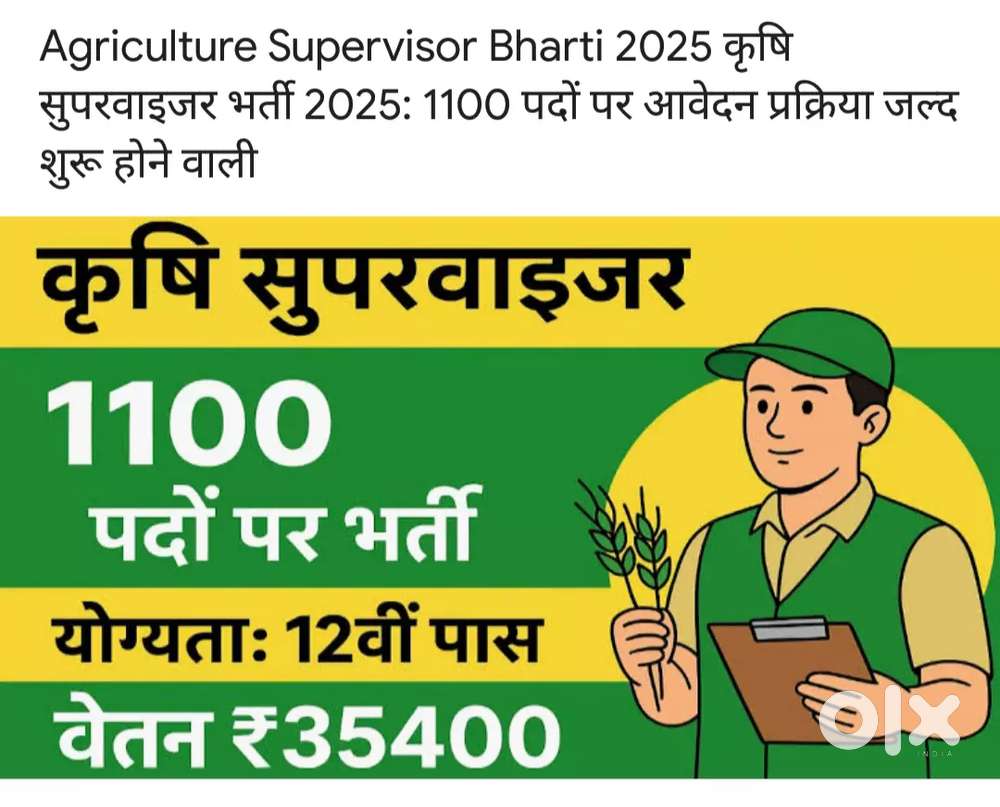 Experience teacher required