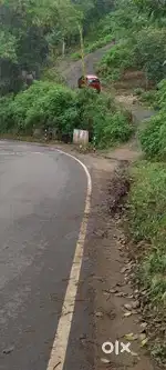 ഇടുക്കി ജില്ലയിൽ ഇരട്ടയാറിനു അടുത്ത് 60 സെൻ്റ് സ്ഥലം വിൽപ്പനയ്ക്ക്