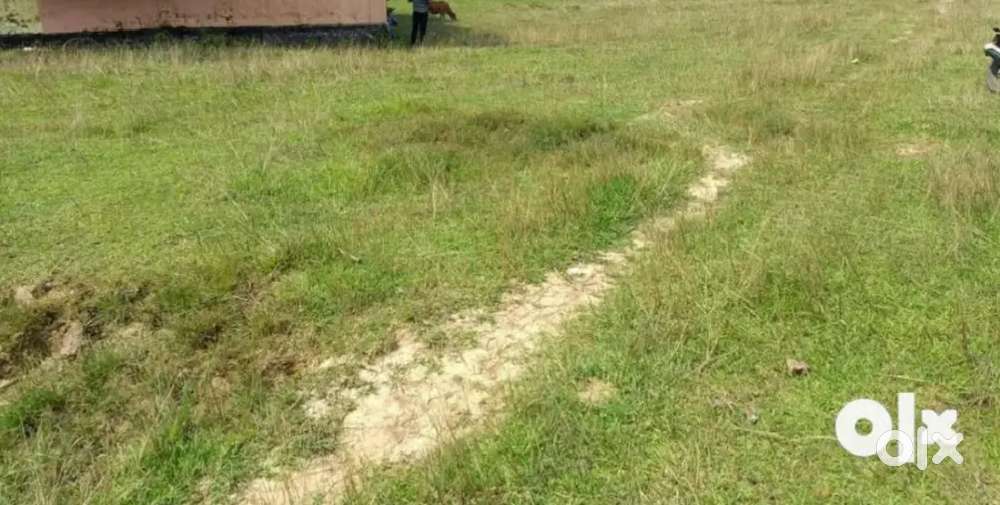 SC & GEN Lohonda, fuljhor, dalposh plot available