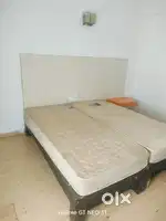 Gamma 2 Greater Noida
