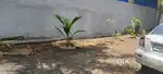 Furnished rooms for sale