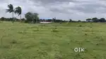 Best location