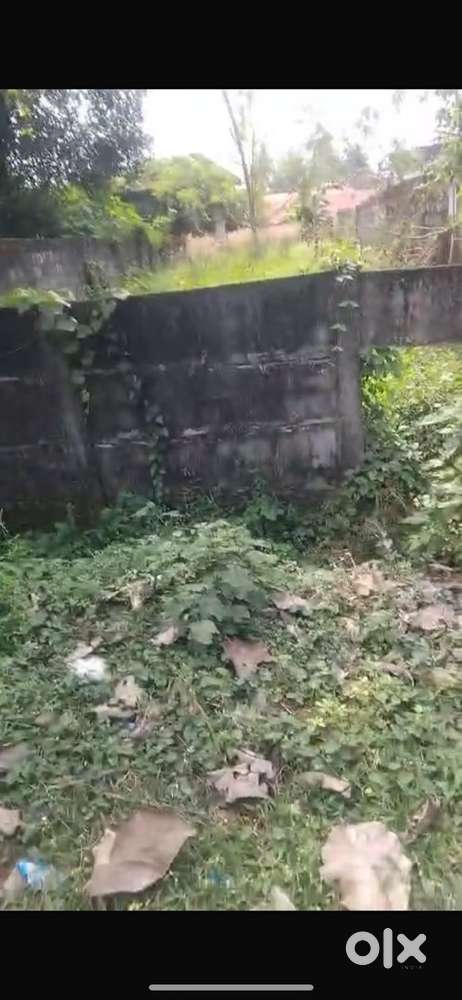 Plot for sale