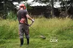 Grass cutting machine(പുല്ല് വെട്ടി) For rent.