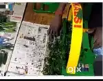 Saag cutter machine