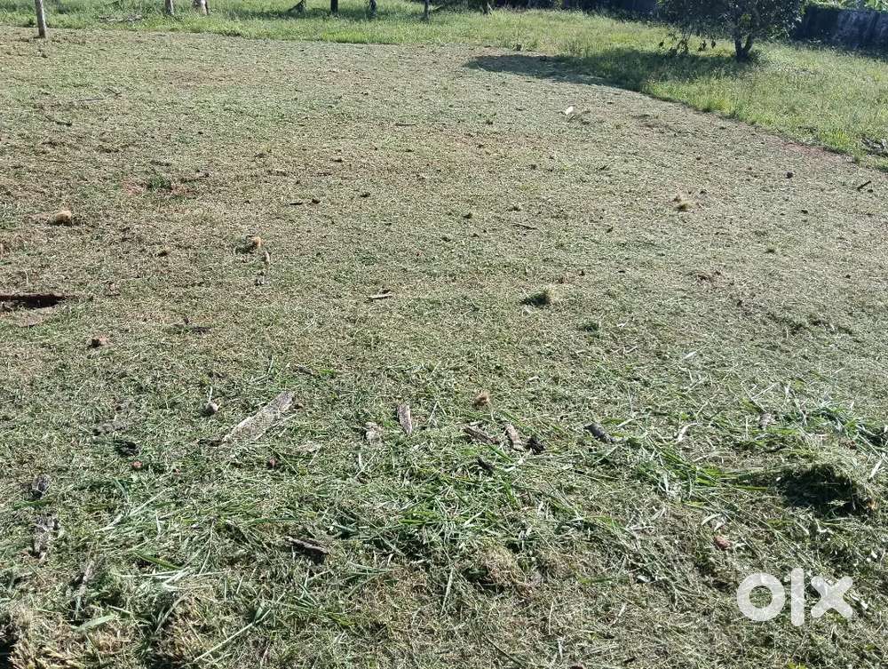 അഷ്ടമിച്ചിറ കോൾകുന്നിൽ 10സെന്റ് സ്ഥലം വില്പനക്ക്