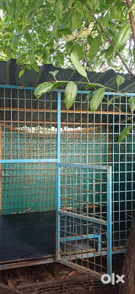 Dog cage for sale at perinkulam, alathur
