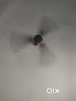 Ceiling Fan