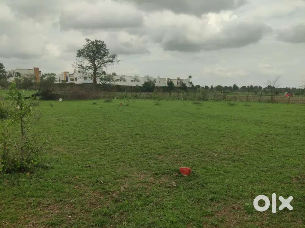 NATP plot dewada(chandrapur)