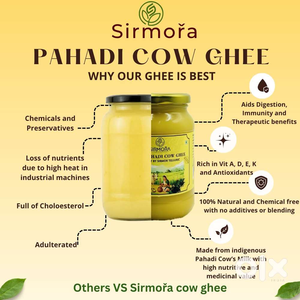 Videos and photos editor products photos shoots and all social media h