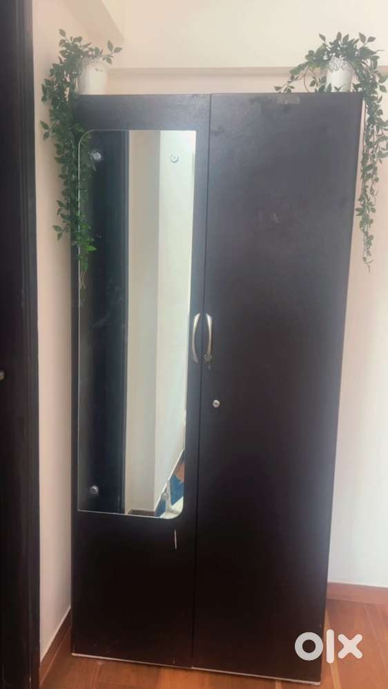 Elegant Steel Wardrobe with Mirror & Secure Storage – Wood Finish