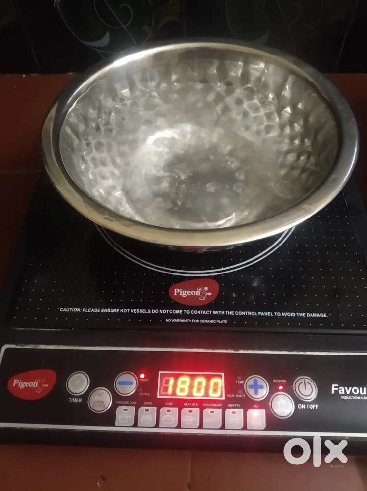 INDUCSTION STOVE