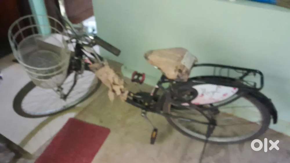 BSA hazel ladies cycle with pump