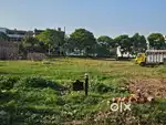 321 Sqyards Plot For Sale in Omaxe Phase 3 New Chandigarh.