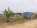Best Feature Investment