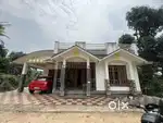 21 CENT LAND WITH HOUSE FOR SALE IN MEENANGADI