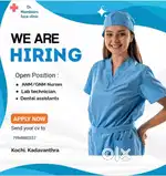 Experienced and freshers