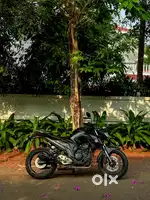 Yamaha fz250