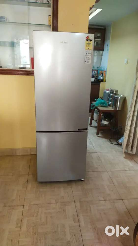 Haier 2024 Model 237 litre Fridge 2 door