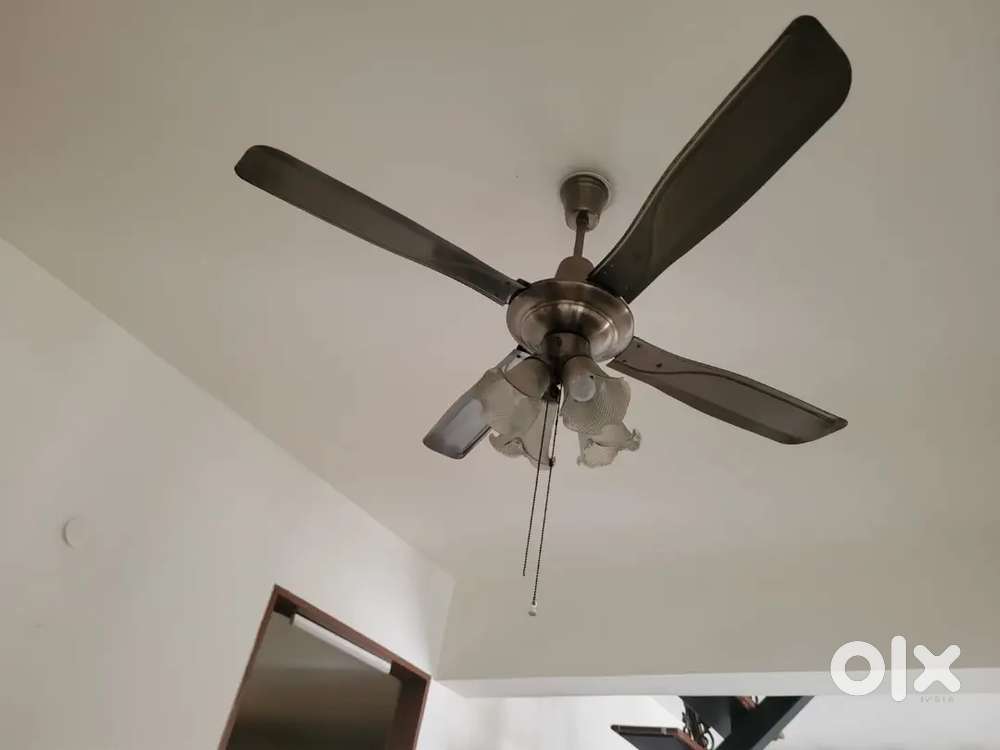 Decorative ceiling fan