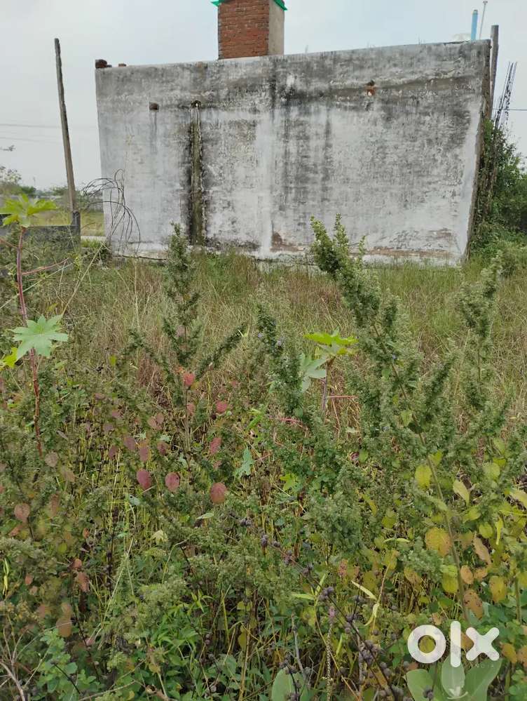 DD Nagar east facing plot sale Farm for colony