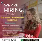 Hiring Business Development Executive