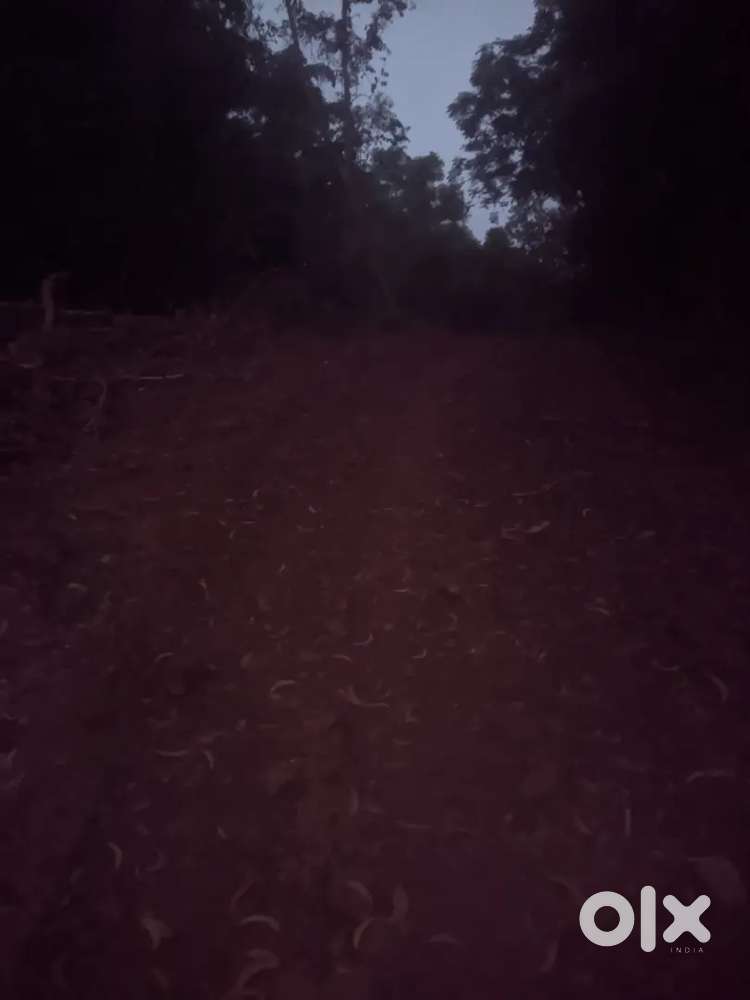 Land  in kadambu for sale