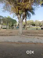 1 acre land on road village majrian Mohali